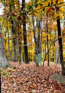 LOT 17 Vista Pkwy, Hardy, VA, 24101