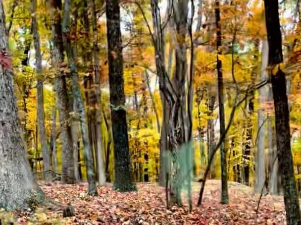 LOT 17 Vista Pkwy, Hardy, VA 24101