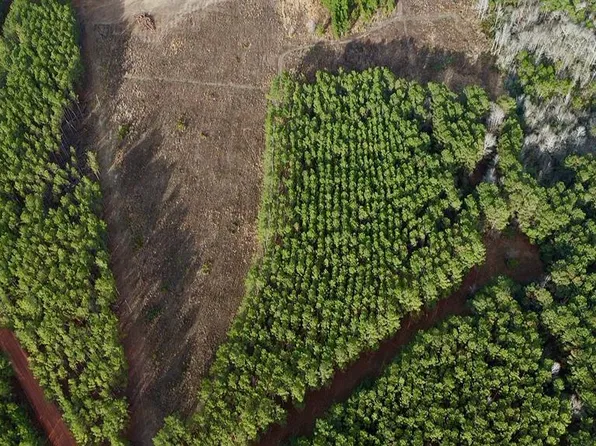 0 Harmony Ln Lot 10, Milan, GA 31060