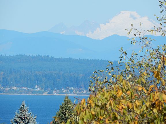 Mt Baker view