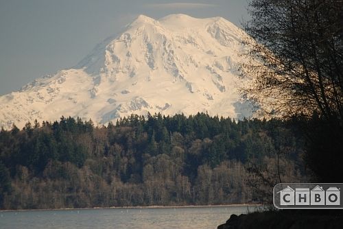 Close up of Mount Rainier