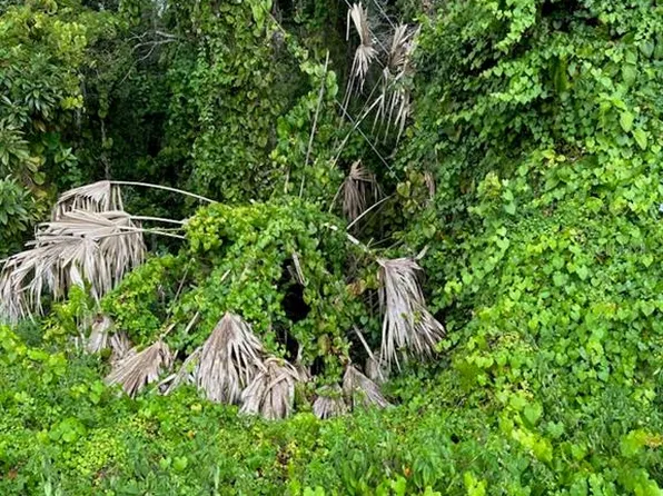 W Burleigh Blvd, Tavares, FL 32778