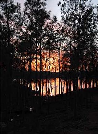 4th image of 336 Stillwater Trl #178