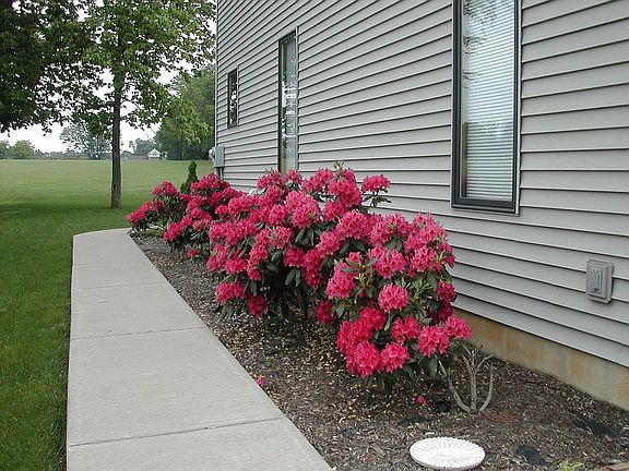 East side of house