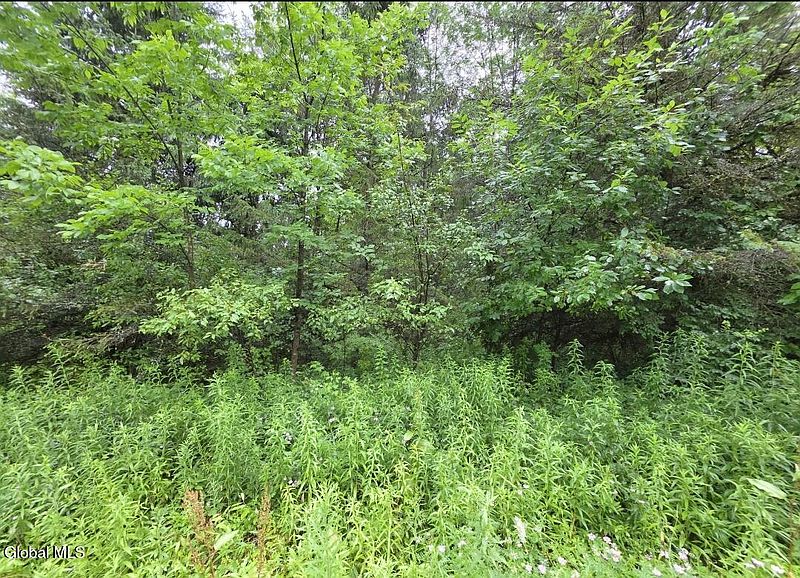 3rd image of L-28.03 Halbert Hill Road #L-28.03