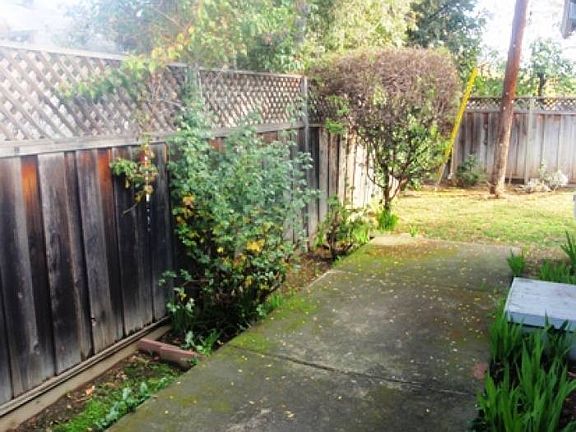 Back Patio Area