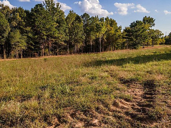 5th image of 12127 County Road 497