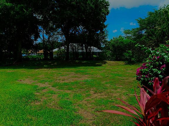 Spacious back yard 