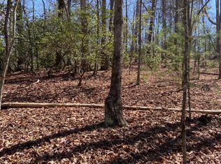 23 Hiawassee Ct #1, Ellijay, GA 30540