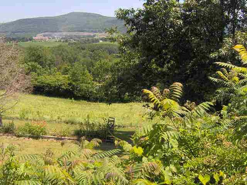 5th image of 374 SUNNYSIDE Road