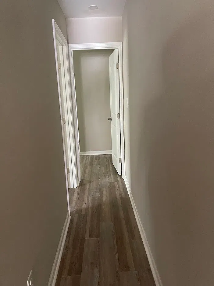 2 bed, $950 — Photo 2
