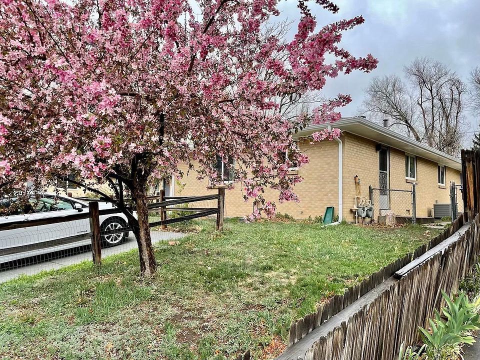 Front yard with old fencing