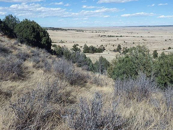 5th image of 35584 Comanche Creek Road