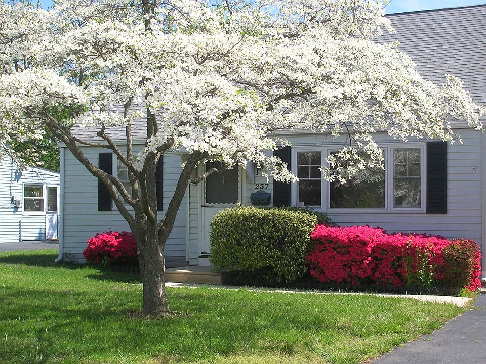 Spring @ 237 Charles