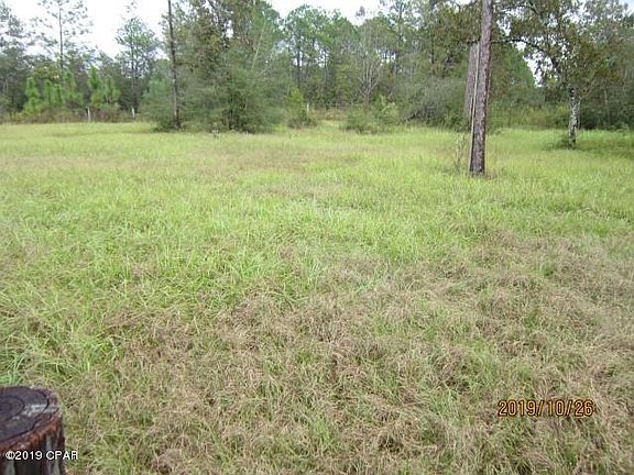 4th image of 537 Coralvine Dr