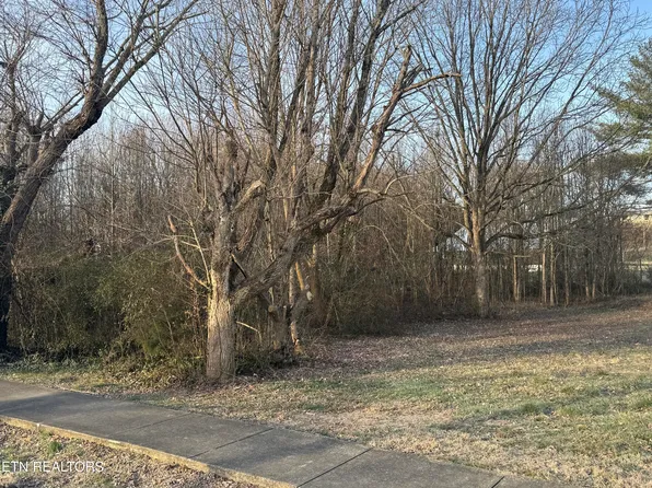 209 Babcock St, Tellico Plains, TN 37385