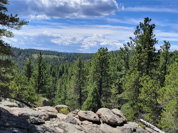 1600 County Road 100j, Ward, CO 80481