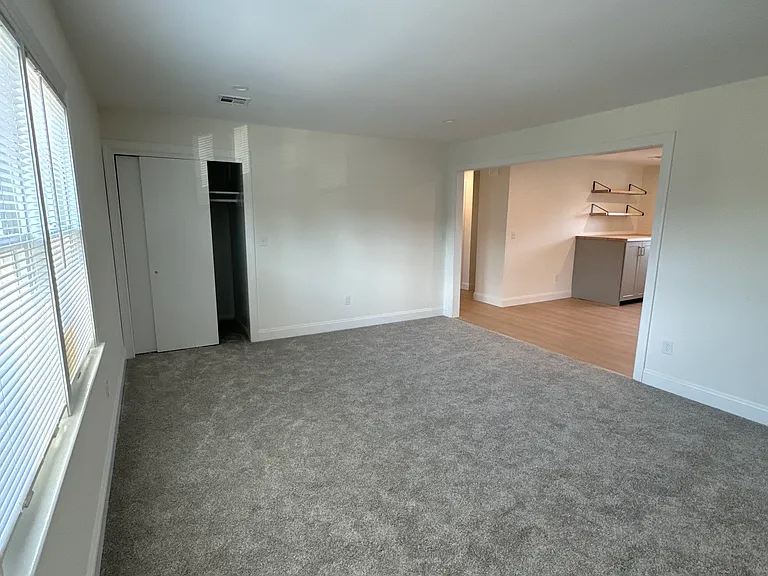 Bonus ~extra deep closet in the living room