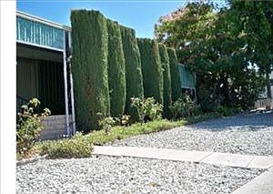 4th image of 491 Santa Clara Cir