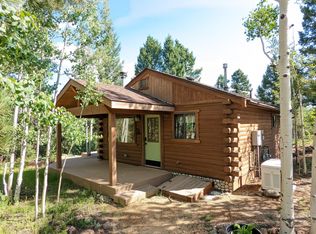 130 Summit Way, Bailey, CO 80421