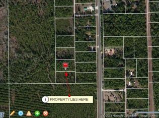 713 S County Road 315, Interlachen, FL 32148