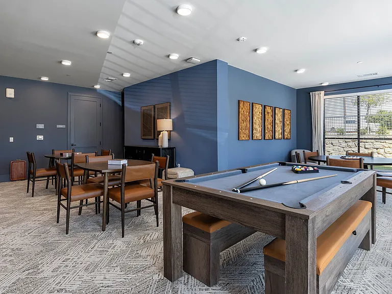 The Luxe at Lewisville | 55 + Active Adult — Photo 19