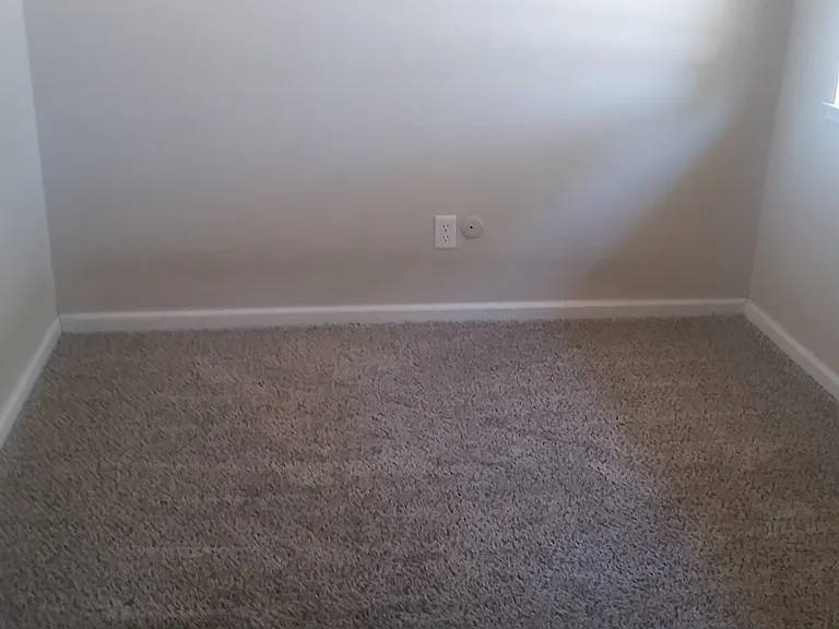 2412 Olive St #6 — Photo 2