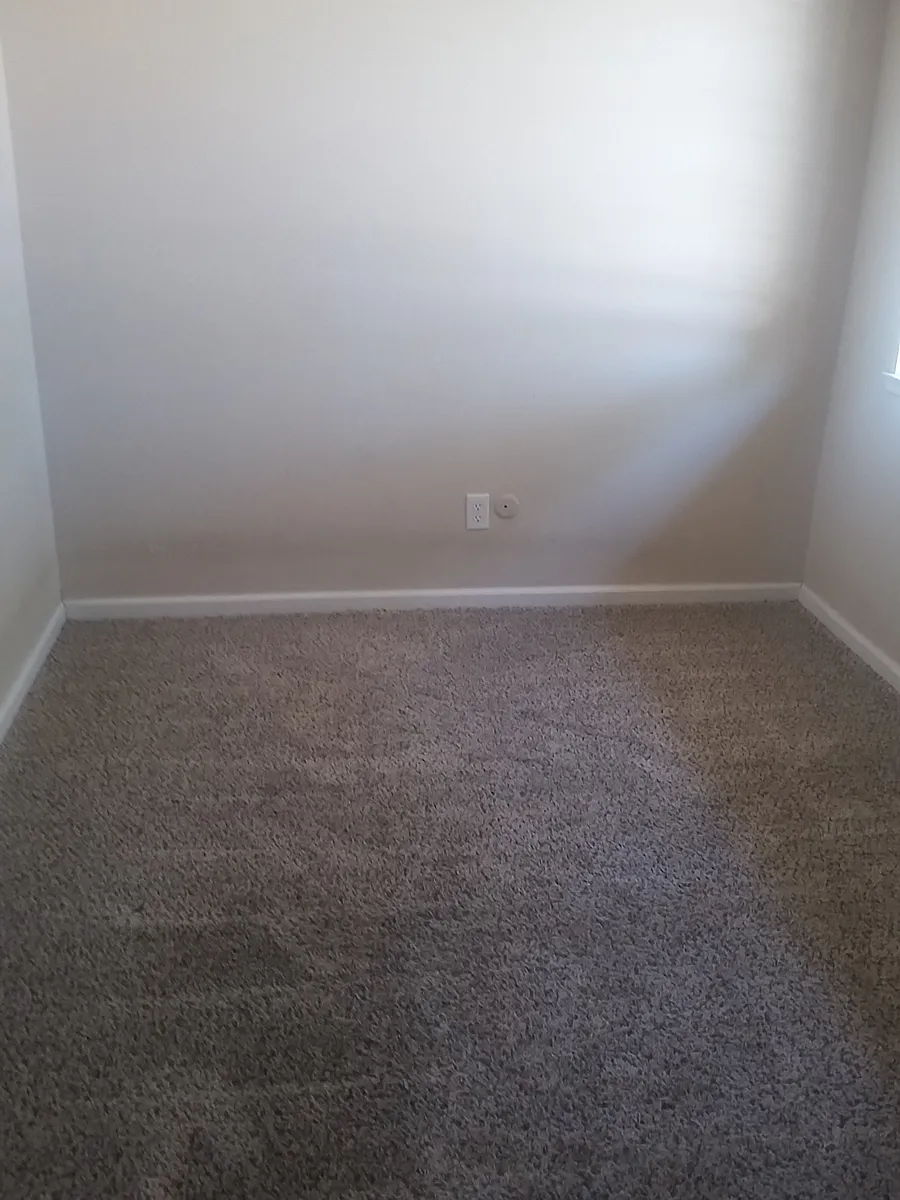 Building Photo - 2412 Olive St #6