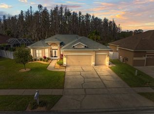 28725 Falling Leaves Way, Zephyrhills, FL 33543