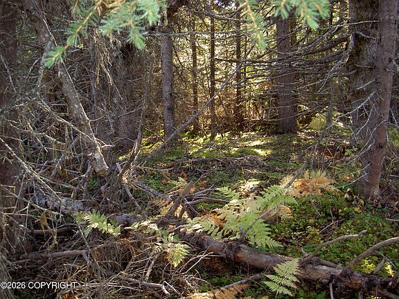 3rd image of Asls 91 13 Caribou Lk
