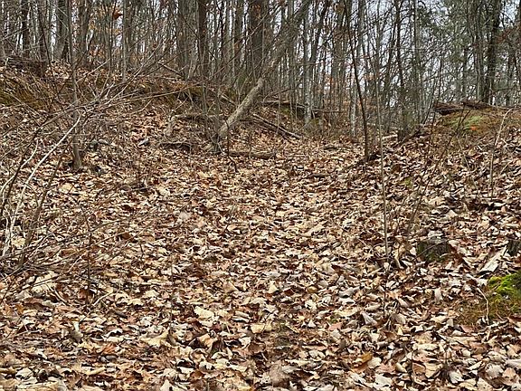 3rd image of 6753 Langston Dr Lot 5