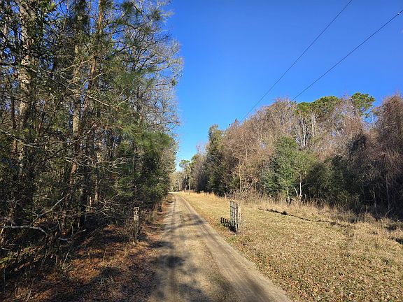 3rd image of 1667 Blues Ln