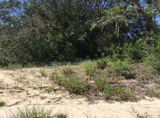 705 Petes Ln, Davenport, FL 33837