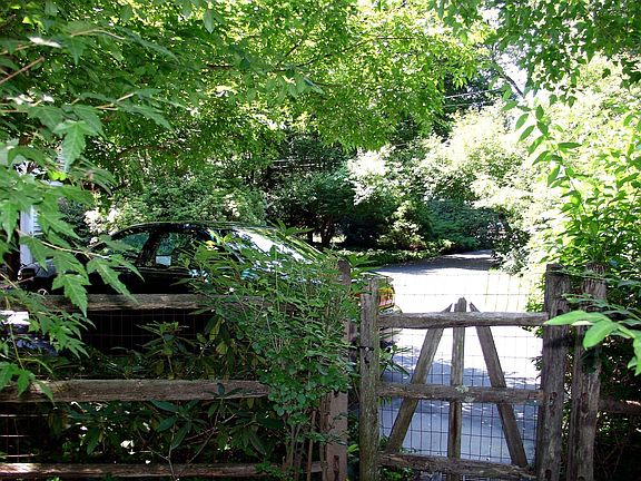 Gate from pool to driveway