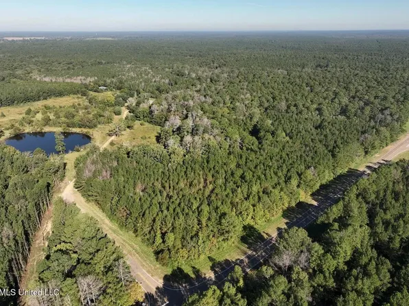 279 Bar C Ranch Rd, Morton, MS 39117