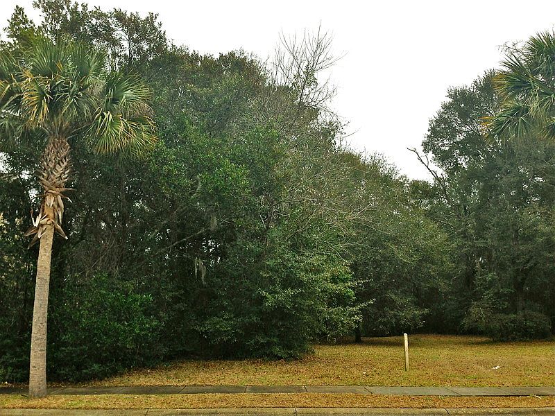 1st image of 209 Old Hickory Xing
