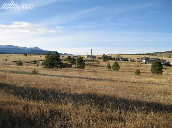 430 Longbow Dr E, Divide, CO 80814