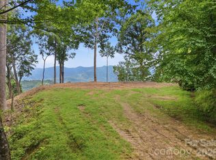 99999 Davidson Gap Rd #79, Leicester, NC 28748