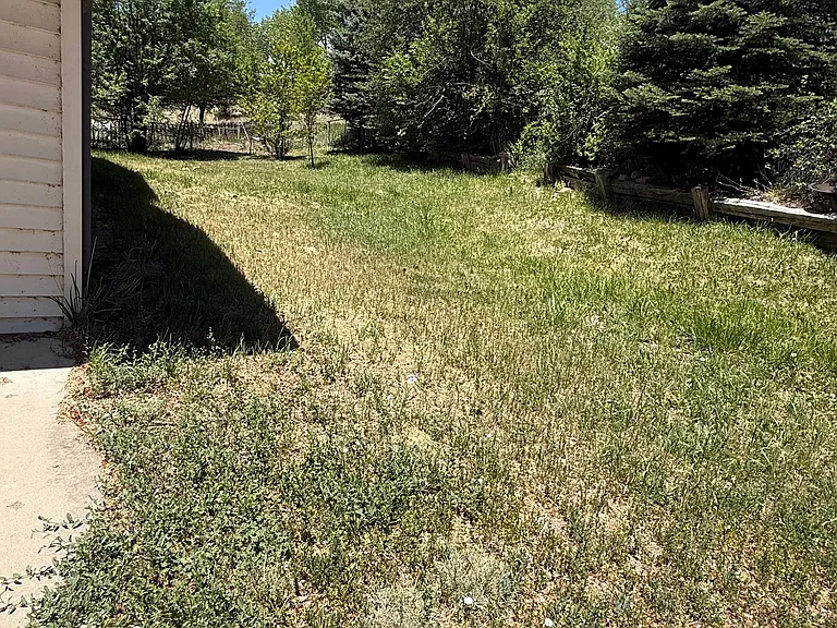 1510 Terra Vista Ln — Photo 13