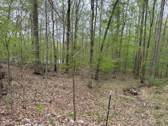 4th image of 0 Motley Cir Lot 12