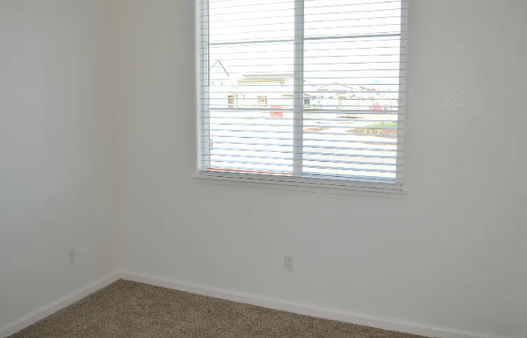 4467 Jennifer Way — Photo 29