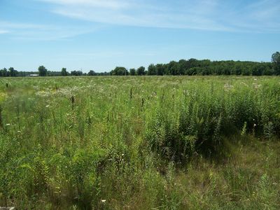LOT Masters Rd #B, Memphis, MI, 48041