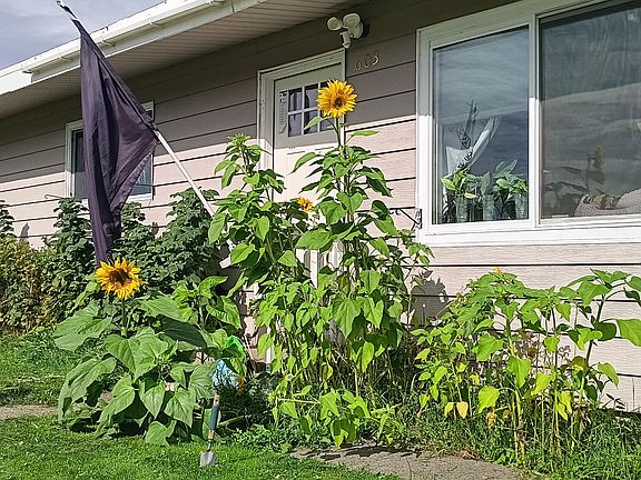 2nd image of 603 Vine Ave