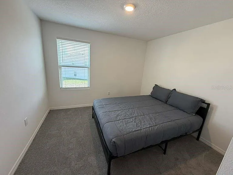 1239 Sand Torch Cir — Photo 39