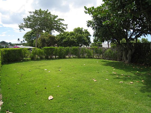 Yard in front of house (hidden behind bushes and elevated of