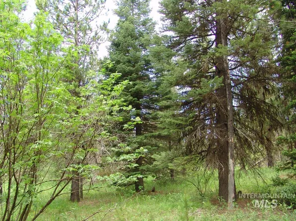 Tax 40 Newell Dr, Cascade, ID 83611