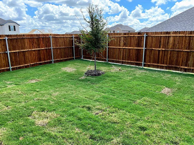 810 Mildren Ln — Photo 28