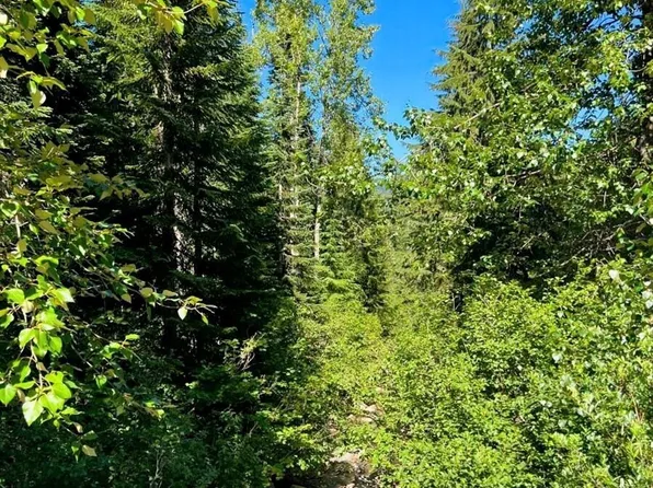 34119 N Nason Road, Leavenworth, WA 98826