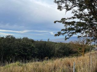 19 Huliamahi Pl #2-A-5, Kula, HI 96790