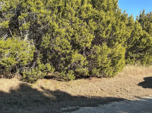 12197 Rolling Oaks Dr, Whitney, TX 76692